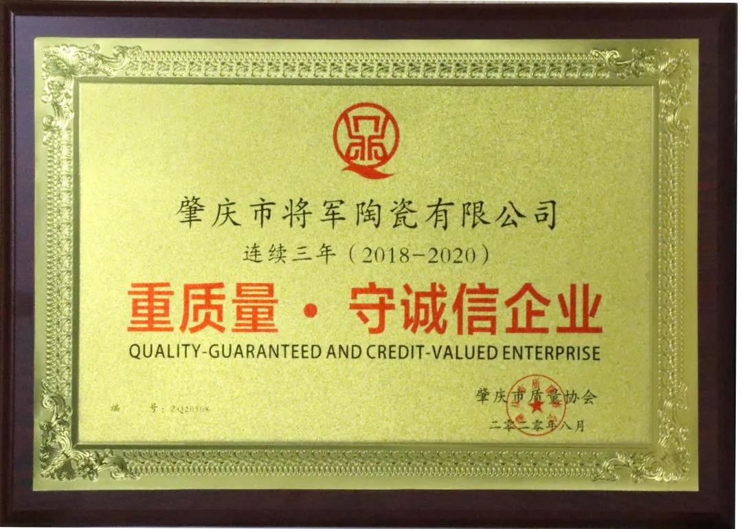 重磅 | 將軍企業(yè)實力捧回4大重量級獎項，獻禮建黨百年(圖3)