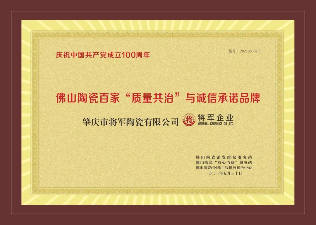 重磅 | 將軍企業(yè)實力捧回4大重量級獎項，獻禮建黨百年(圖4)